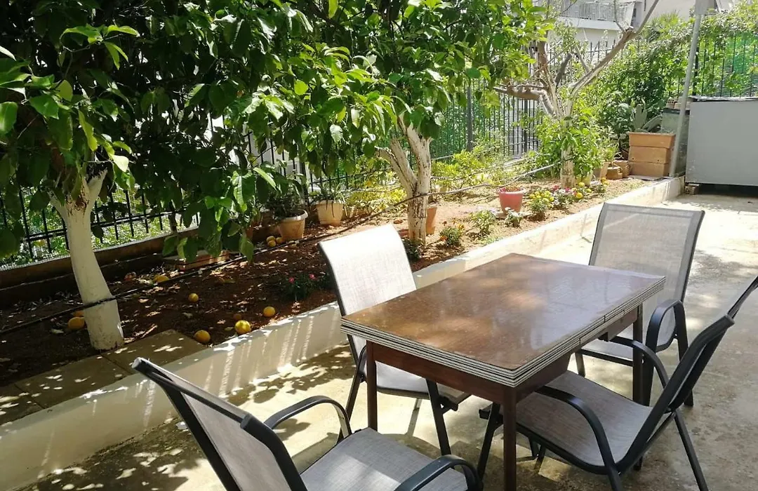 Lemontree-1